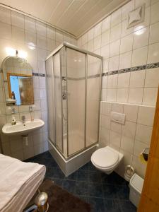 a bathroom with a shower and a toilet and a sink at Farmer-Rabensteiner in Bad Gams