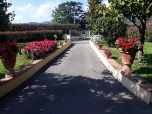 A garden outside Villa Monica