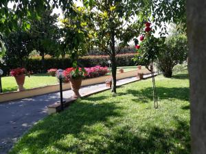 A garden outside Villa Monica