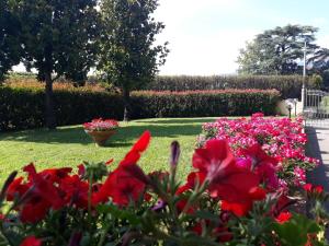 A garden outside Villa Monica
