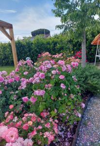 A garden outside Villa Monica