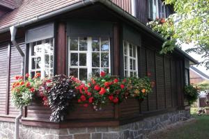 Wohnen im Holzhaus في Niesky: نافذة منزل عليها زهور