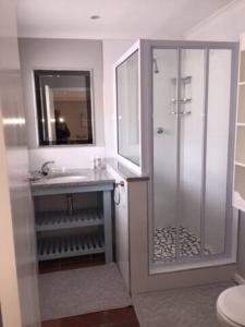 a bathroom with a shower and a sink and a mirror at Meerhuis Cottage in Langebaan