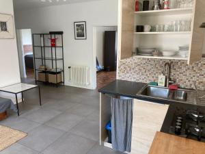 eine Küche mit einer Spüle und einer Arbeitsplatte in der Unterkunft Jelenec House in Jelenec