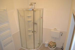 La salle de bains est pourvue d'une douche avec une porte en verre. dans l'établissement Apartment im Herzen von Neusiedl am See, à Neusiedl am See