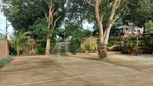 a road with trees and plants in a yard at Felicitas Tagaytay in Tagaytay