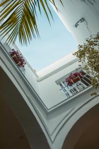 a room with a white ceiling and a palm tree at Hostal Africa in Tarifa