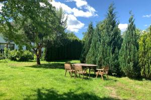 a table and chairs in a yard with trees at Vaivari Retreat in Jūrmala +29 photos