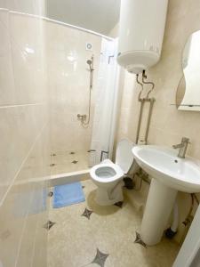 a bathroom with a toilet and a shower and a sink at Посуточная аренда жилья in Mohyliv-Podilʼsʼkyy +1 photo