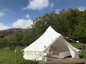 a white tent with a bed in a field at Panpwnton Farm Bell Tents in Knighton