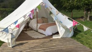 Tienda blanca con cama en un campo en Panpwnton Farm Bell Tents, en Knighton