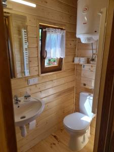 a bathroom with a white toilet and a sink at Siedlisko nr 5A nad jeziorem Skarlińskim, jezioro, mazury, domki letniskowe, bania in Kurzętnik