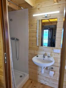 a bathroom with a sink and a shower at Siedlisko nr 5A nad jeziorem Skarlińskim, jezioro, mazury, domki letniskowe, bania in Kurzętnik