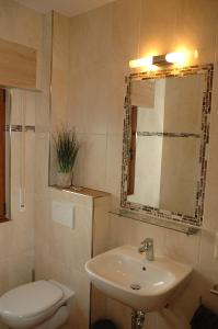 ein Badezimmer mit einem Waschbecken, einem WC und einem Spiegel in der Unterkunft Ferienwohnung-Bine am Nürburgring in der Eifel in Quiddelbach