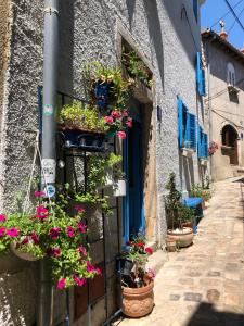 an alley with potted plants on the side of a building at Blue Bench Krk in Krk