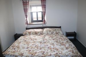 Postel nebo postele na pokoji v ubytování apartmány Kynast