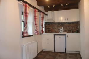 Kuchyň nebo kuchyňský kout v ubytování apartmány Kynast