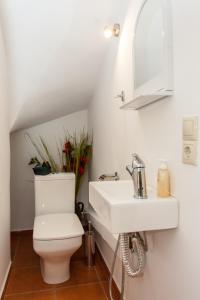 uma casa de banho com um WC e um lavatório em Arhontika Villas em Élos