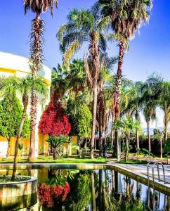 een resort met palmbomen en een zwembad met water bij Presa Di Finica in Finike