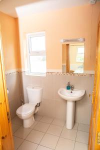ein Bad mit einem WC und einem Waschbecken in der Unterkunft Groarty House/Manor in Derry Londonderry