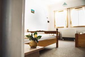 Letto o letti in una camera di Stará Pila - Jizerka