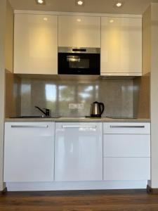 Kuchyň nebo kuchyňský kout v ubytování Apartamentai Daukanto 10 + 8 fotografií