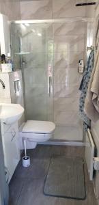 La salle de bains est pourvue d'une douche, de toilettes et d'un lavabo. dans l'établissement Mazury domek całoroczny Pelnik jezioro las, à Pelnik