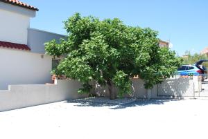Fotografia z galérie ubytovania Villa Sabina - Apartments Kroatien v Ražanaci