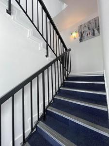 a staircase in a building with blue carpeted stairs at Wns HOTEL in London