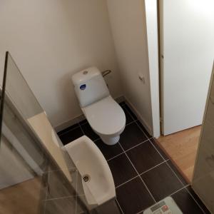 uma pequena casa de banho com um WC e uma porta de vidro em Kanepi accommodation One room em Viljandi