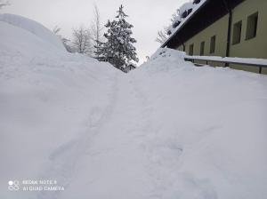 apartmány Kynast v zimě