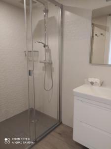 Łazienka w obiekcie Apartamentos Pontedeume Riadoeume