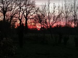 a sunset behind some trees in a field at Ar Litorienn in Paimpont