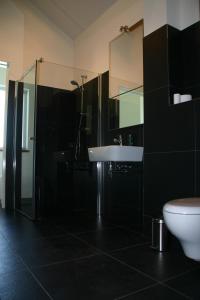 y baño con lavabo, ducha y aseo. en Huisje Wevers en Bathmen