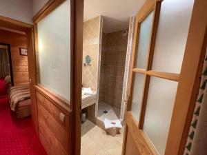a bathroom with a walk in shower and a sink at Hôtel Restaurant Le Chalet d'Auron et Spa Inclus in Auron