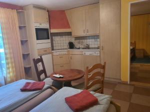 Kuchyň nebo kuchyňský kout v ubytování Hotel Klein Matterhorn