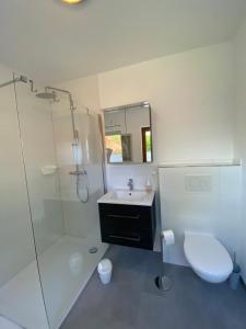 a bathroom with a toilet and a sink and a shower at Odenwald Chalet in Erbach im Odenwald