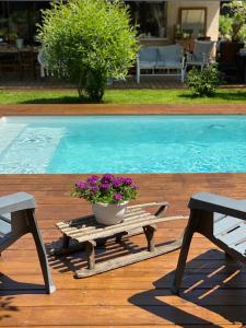 a potted plant sitting on a table next to a pool at Hygge Lodge Annecy in Doussard