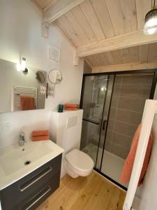 a bathroom with a shower and a toilet and a sink at Hygge Lodge Annecy in Doussard +37 photos