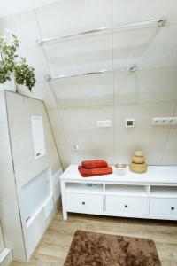a dressing room with a mirror on the wall at Nurdachhaus Marie im Nordschwarzwald in Neuhausen