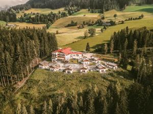 Fotografie z fotogalerie ubytování Holiday Home Waldkauz groß by Interhome v destinaci Pfarrwerfen