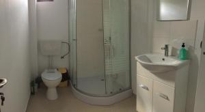 a bathroom with a shower and a toilet and a sink at Vila Maria in Buzau +44 photos