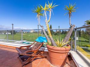 2 palmiers dans un pot sur un balcon dans l'établissement Holiday Home Gran Olamar Golf by Interhome, à Oliva