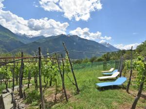 a row of grapes in a vineyard with mountains in the background at Chalet Rustico Rebustella by Interhome in Civo