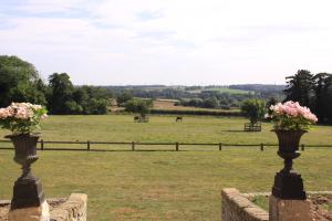 two vases with flowers on top of a field at The Manor House Bed and Breakfast in Castle Acre