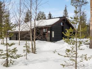 a log cabin in the snow with trees at Holiday Home Villa aihki by Interhome in Luosto