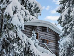 Holiday Home Kelo tuisku by Interhome v zimě