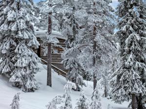 Holiday Home Kelo tuisku by Interhome v zimě
