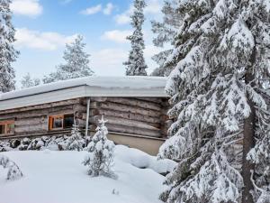 Holiday Home Kelo tuisku by Interhome v zimě