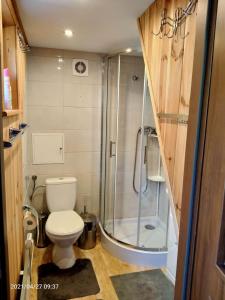 a small bathroom with a toilet and a shower at Kuligowka Szklarska Poreba in Szklarska Poręba